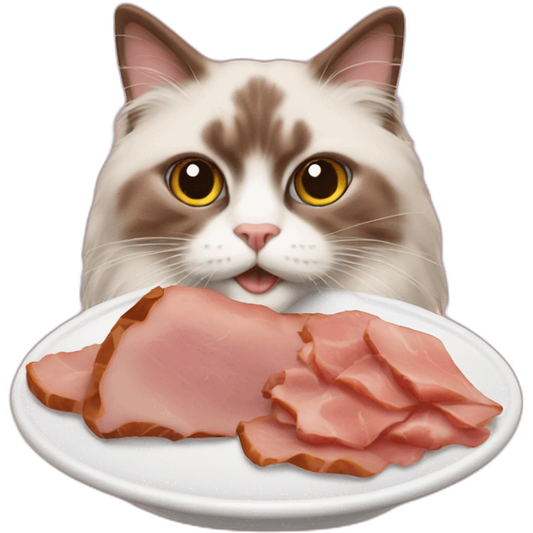 Brown ragdoll cat eating ham emoji