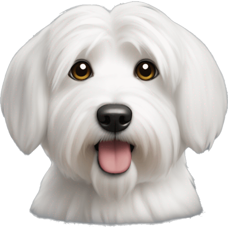 Coton de tulear emoji