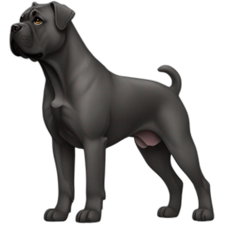 dog Cane Corso in profile emoji