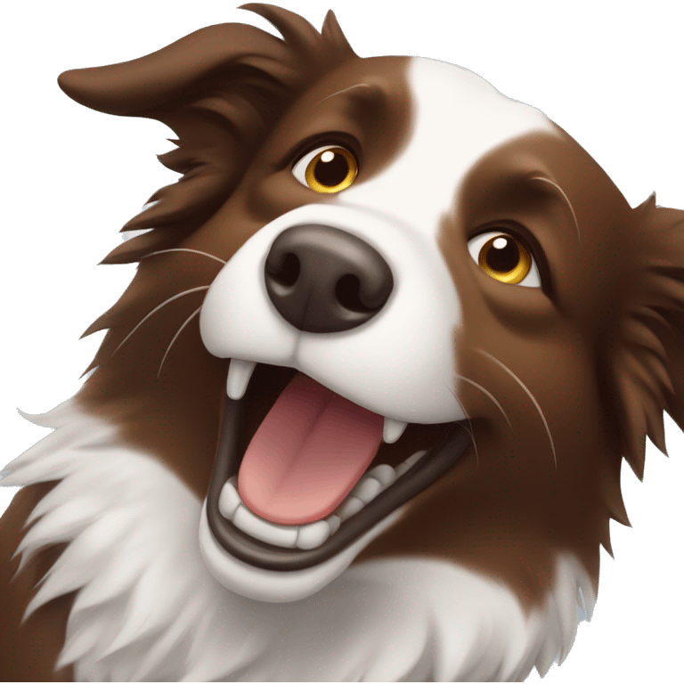 Brown border collie laughing with tears emoji