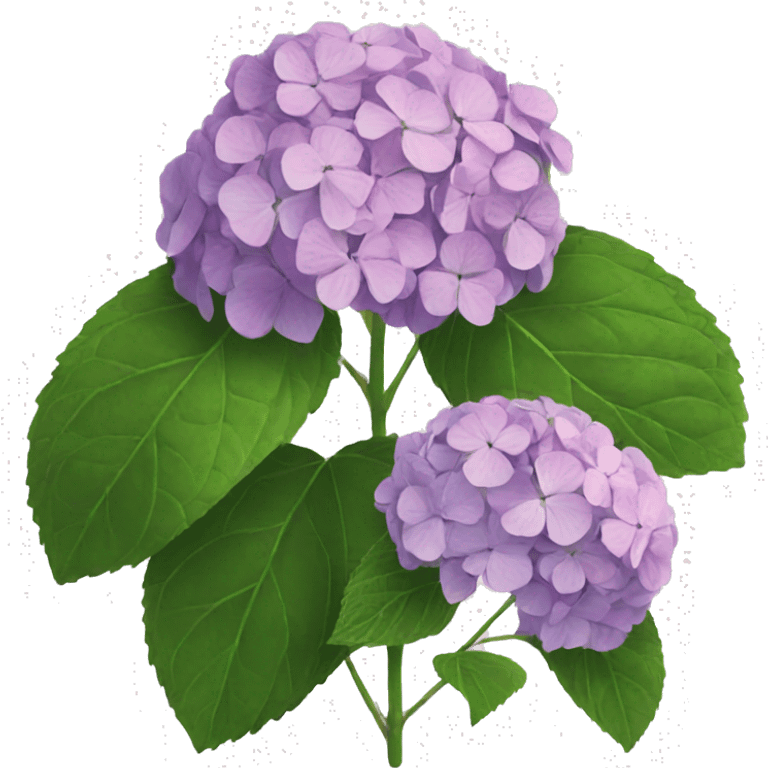 Hydrangea  emoji