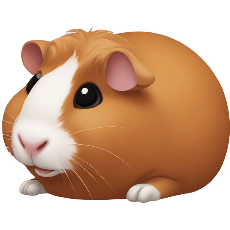 Guineapig laying down  emoji