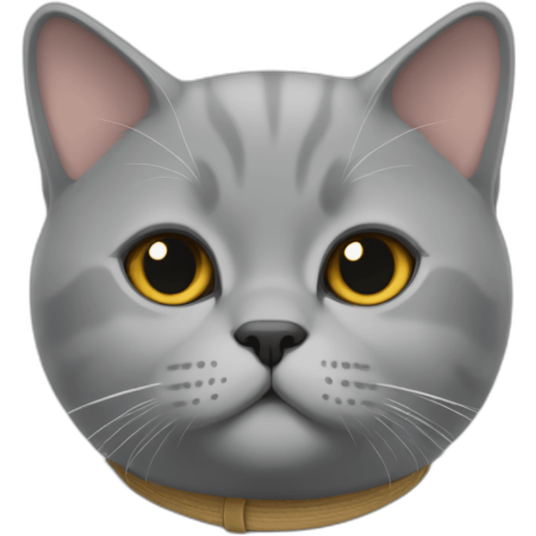 british shorthair cat emoji