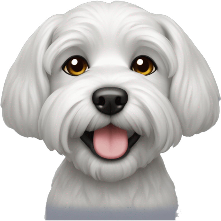 dog maltipu black emoji