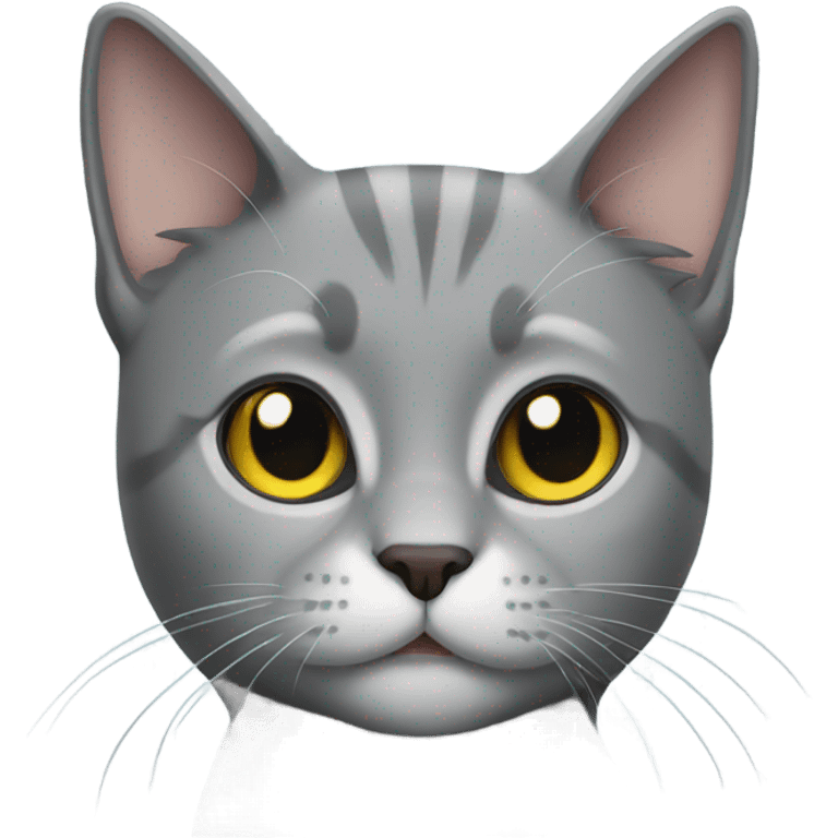 Gray cat emoji