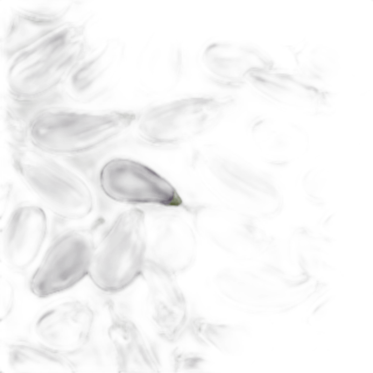 Black eggplant emoji