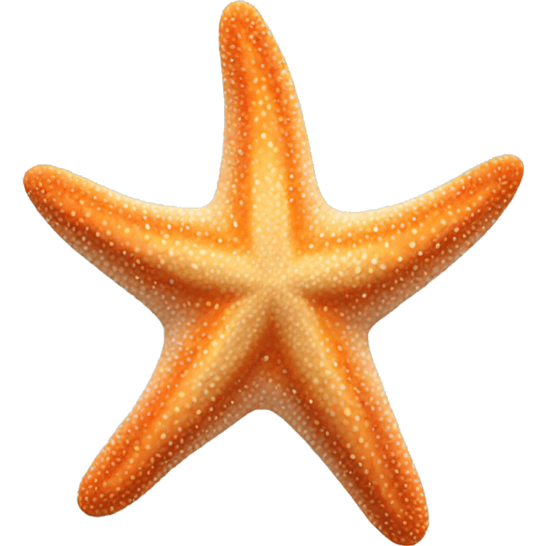 Starfish emoji