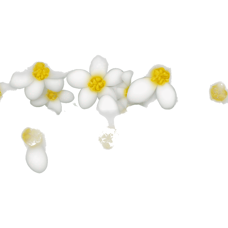 Jasmine flowers with white petals and yellow center of petals with stamens emoji