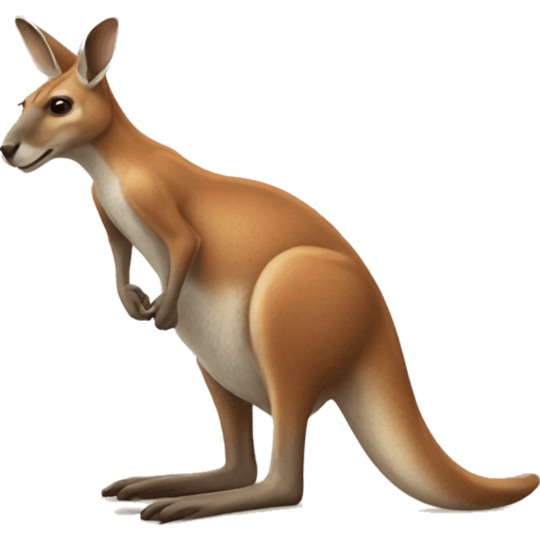 kangaroos emoji