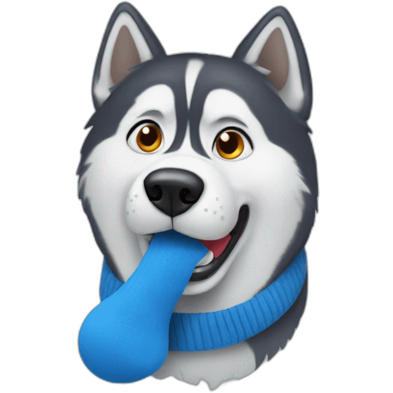 Confused husky with blue sock in his mouth emoji