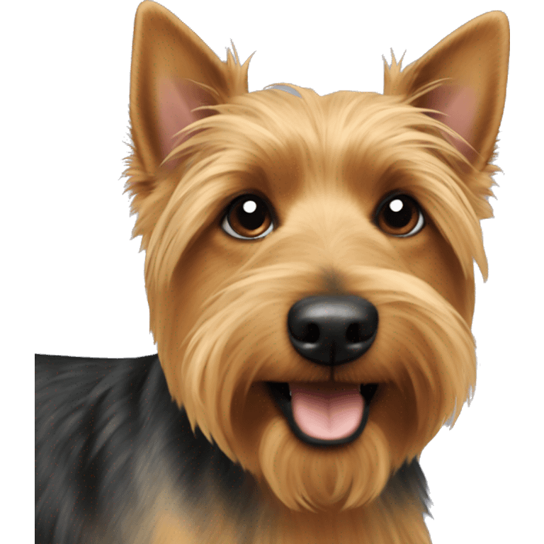 Australian terrier  emoji