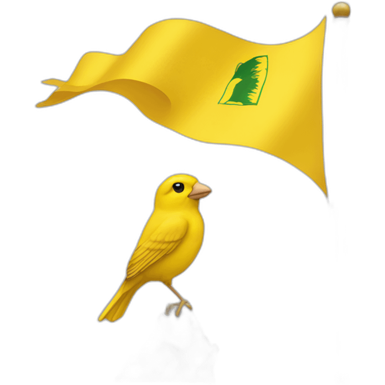 Canary flag emoji