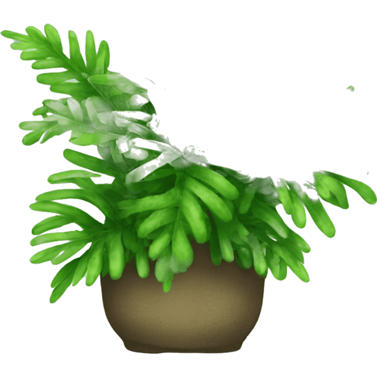 nephrolepis exaltata plant emoji