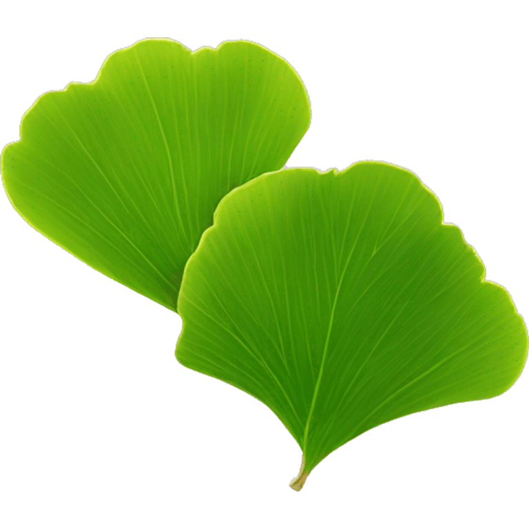 Hoja ginkgo biloba emoji