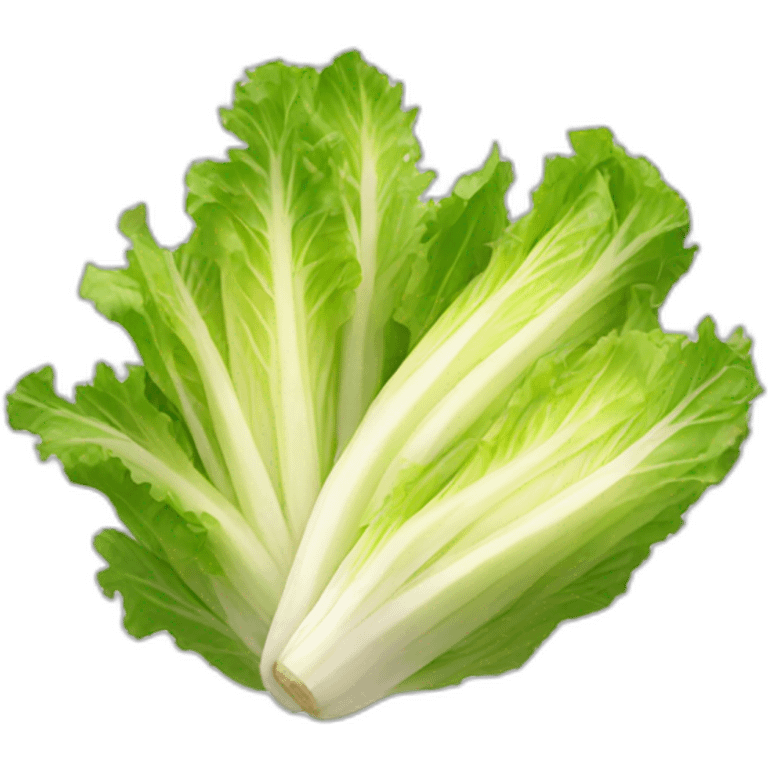 endive salad emoji