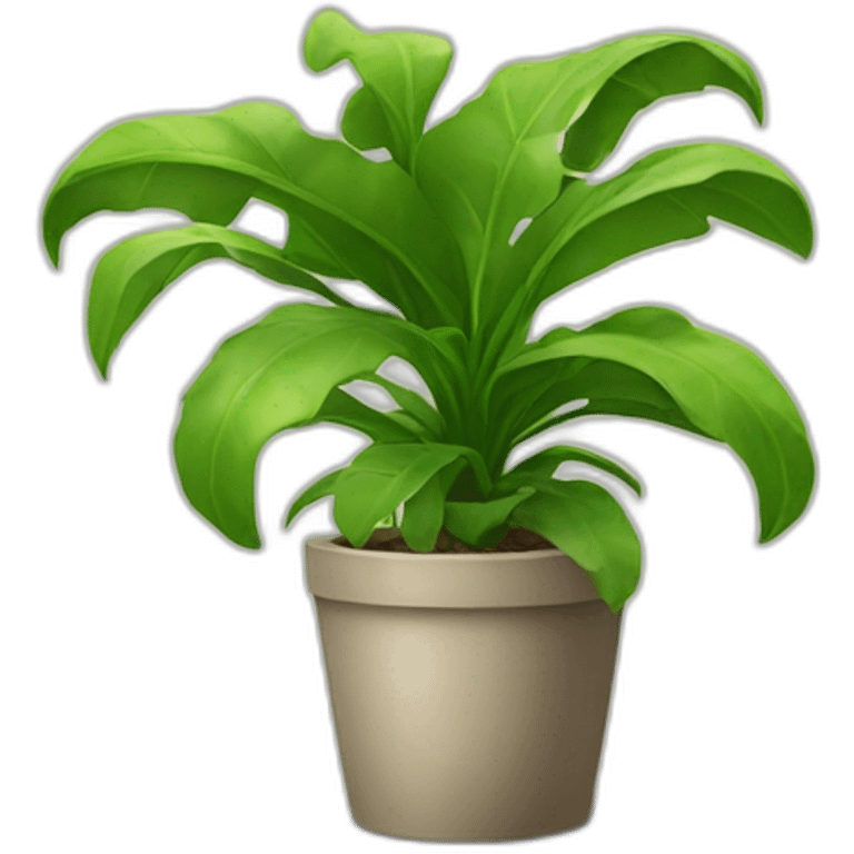 House plant emoji