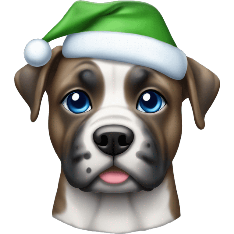 Blue eyesCane corso blue brindle in a Christmas hat emoji