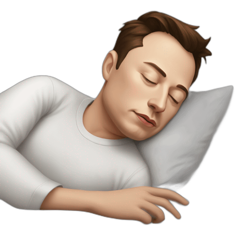 elon musk sleep emoji