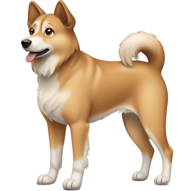 Light brown Eurasian dog standing. His face and back is full of very dark brown spots emoji