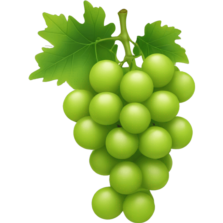 A bunch of green grapes emoji