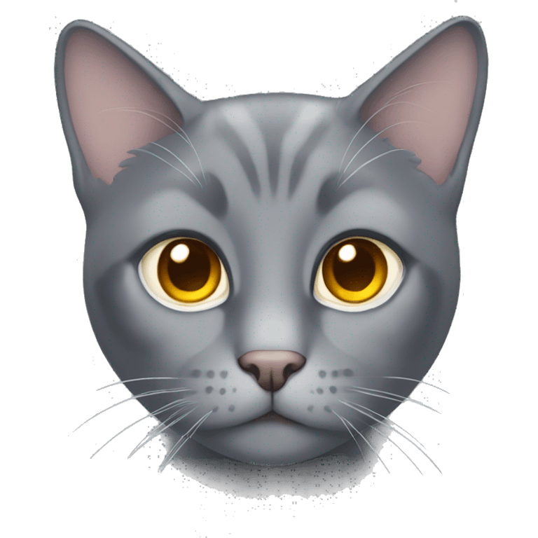 Gray cat with amber eyes  emoji