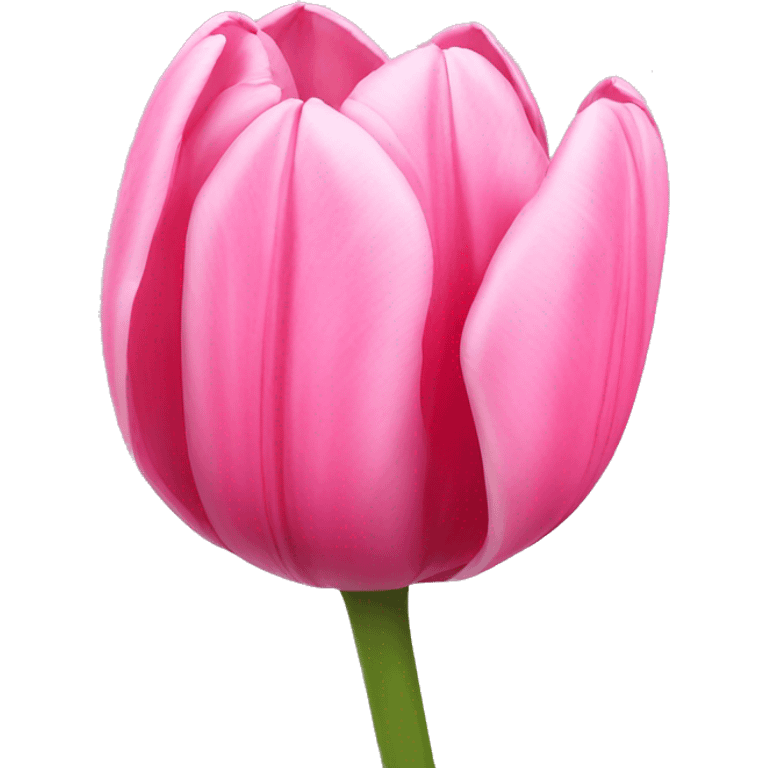 Pink tulips emoji