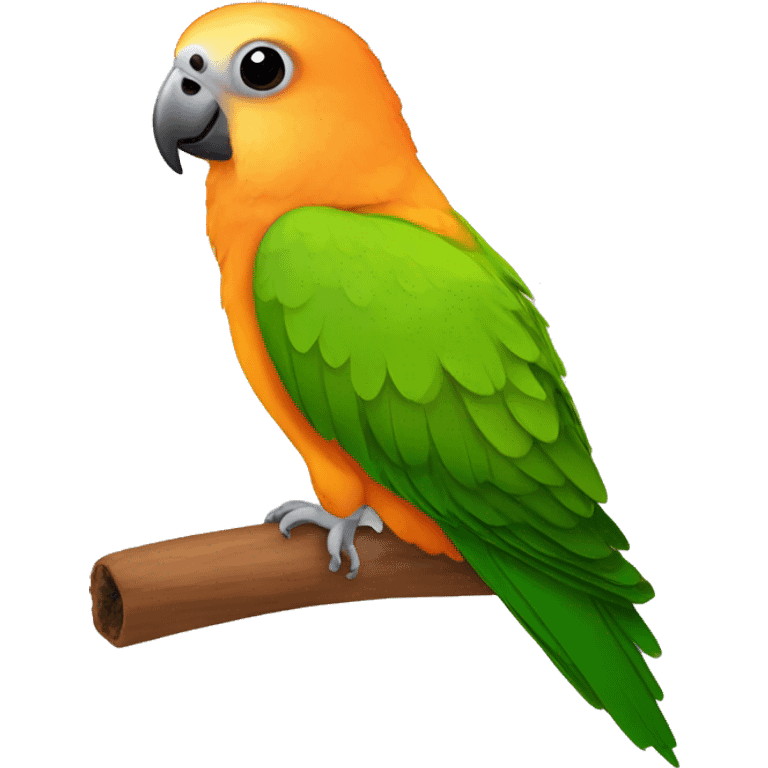 Cinnamon conure emoji