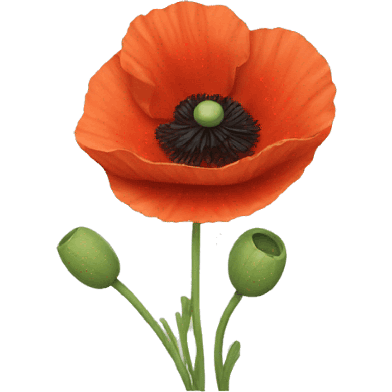 poppy emoji