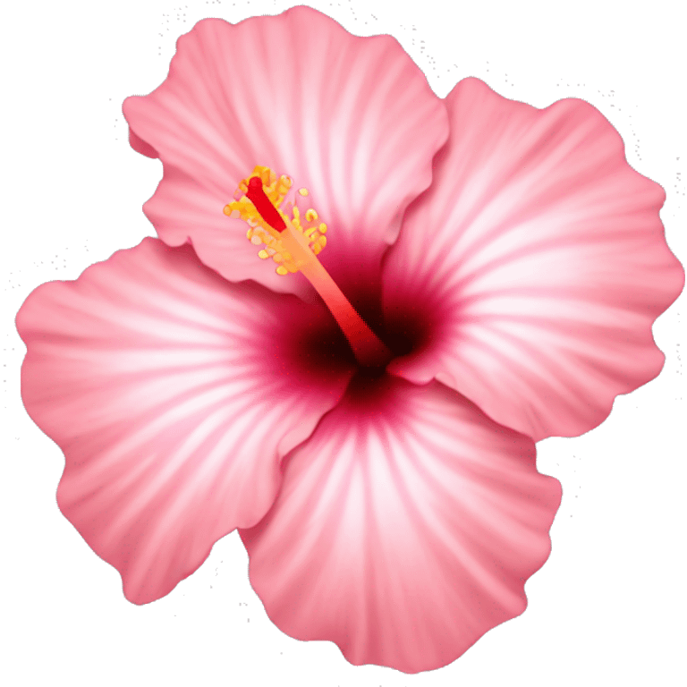 Light pink hibiscus  emoji