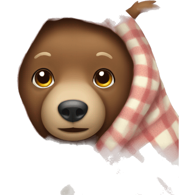 bear cozy in blanket emoji