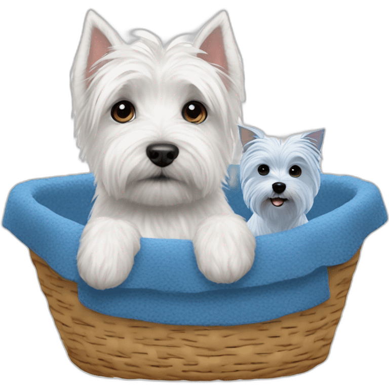 West Highland white terrier and blue dog in way too small dog basket emoji