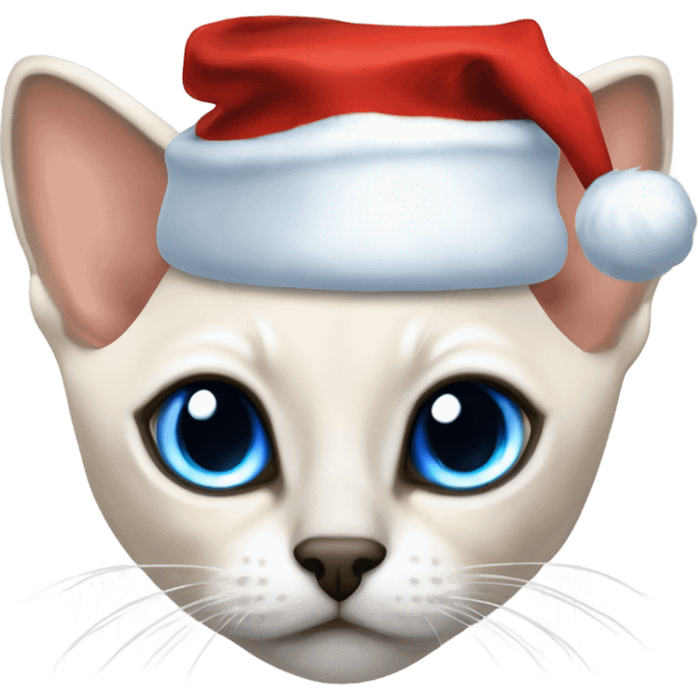 Flampoint Siamese with blue eyes and a Santa hat on emoji