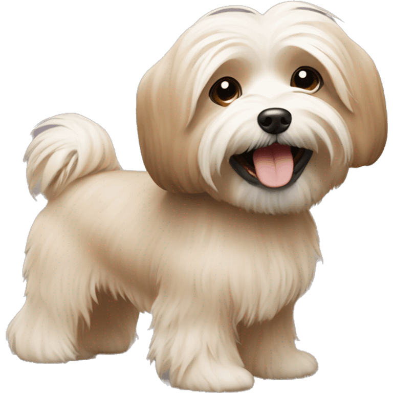 Havanese dancing light brown color emoji