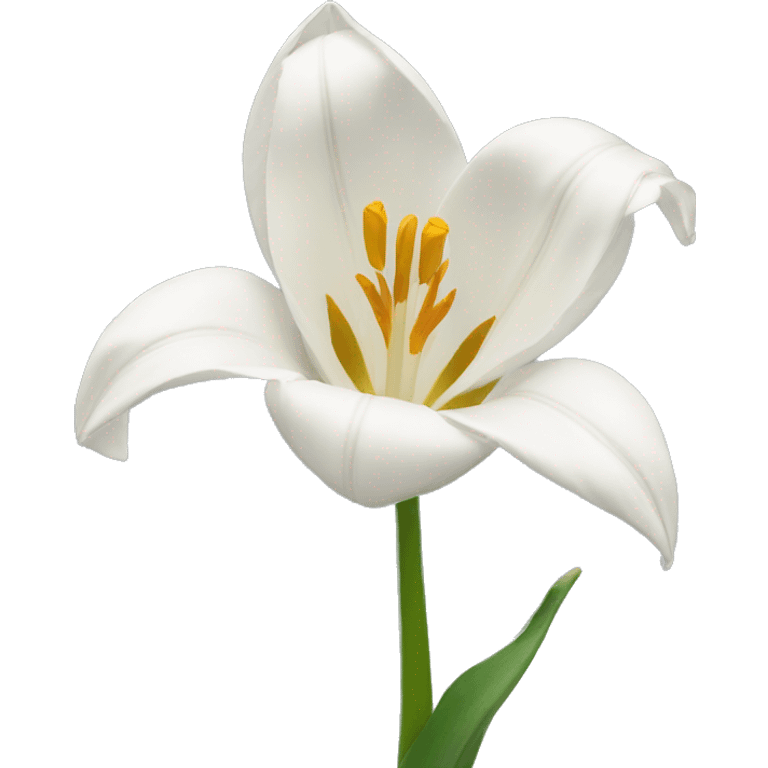 Tulipe blanche emoji