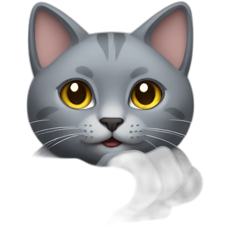 Grey cat who makes a finger of honor emoji