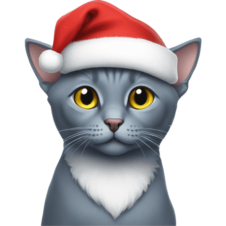 Russian blue cat with a Santa hat emoji