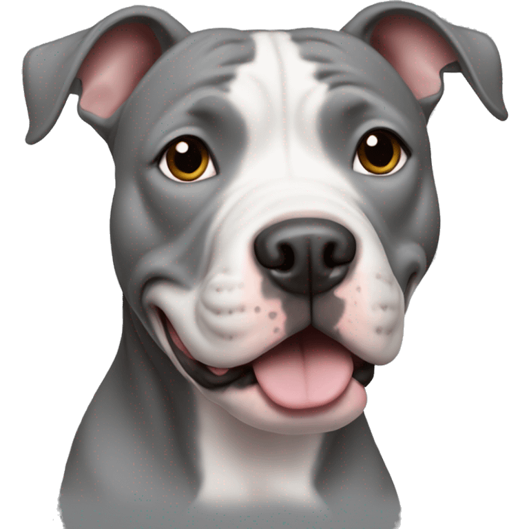 Gray pitbull no white emoji