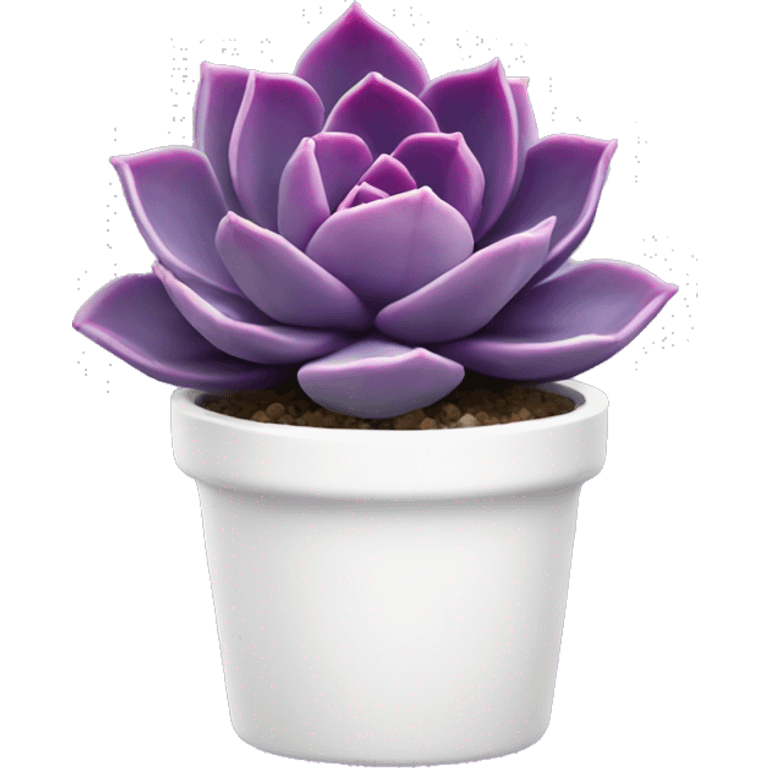 Purple echeveria succulent in white pot emoji