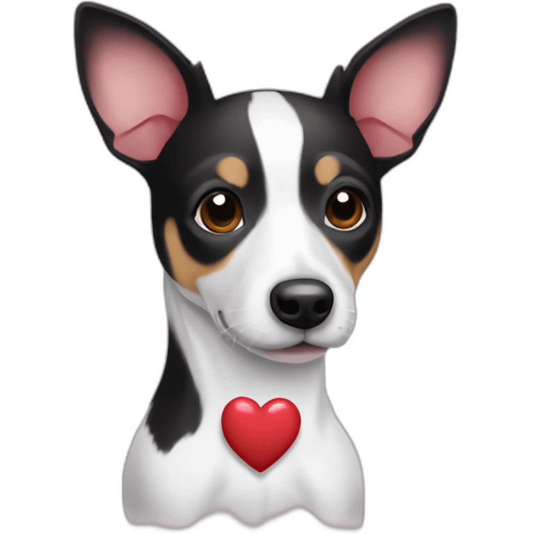 Black and White Rat terrier with hearts emoji