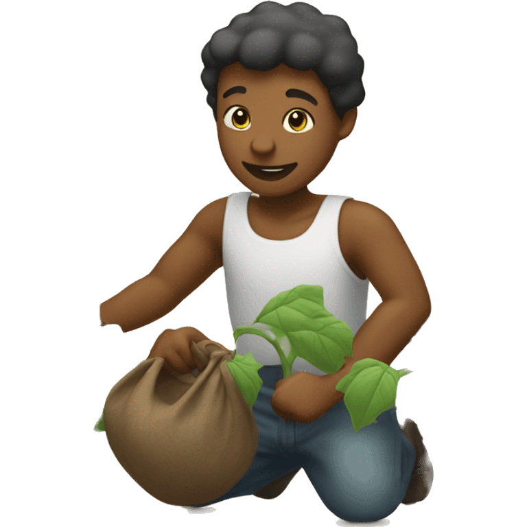  human picking cotton plant  in field emoji