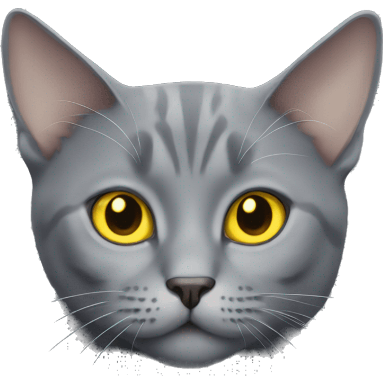 gray cat with yellow eyes british emoji