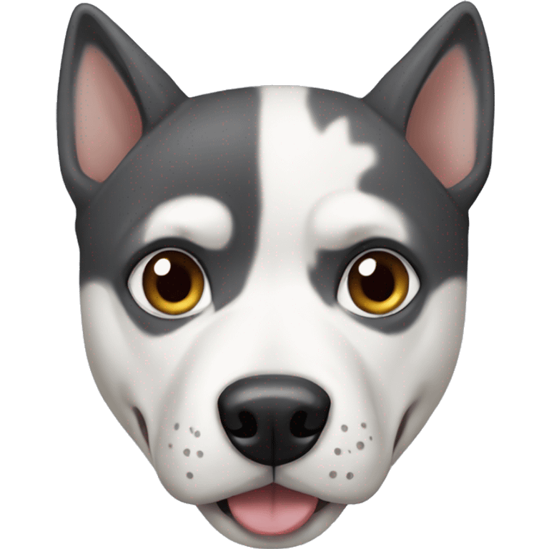 Husky and pitbull mix  emoji