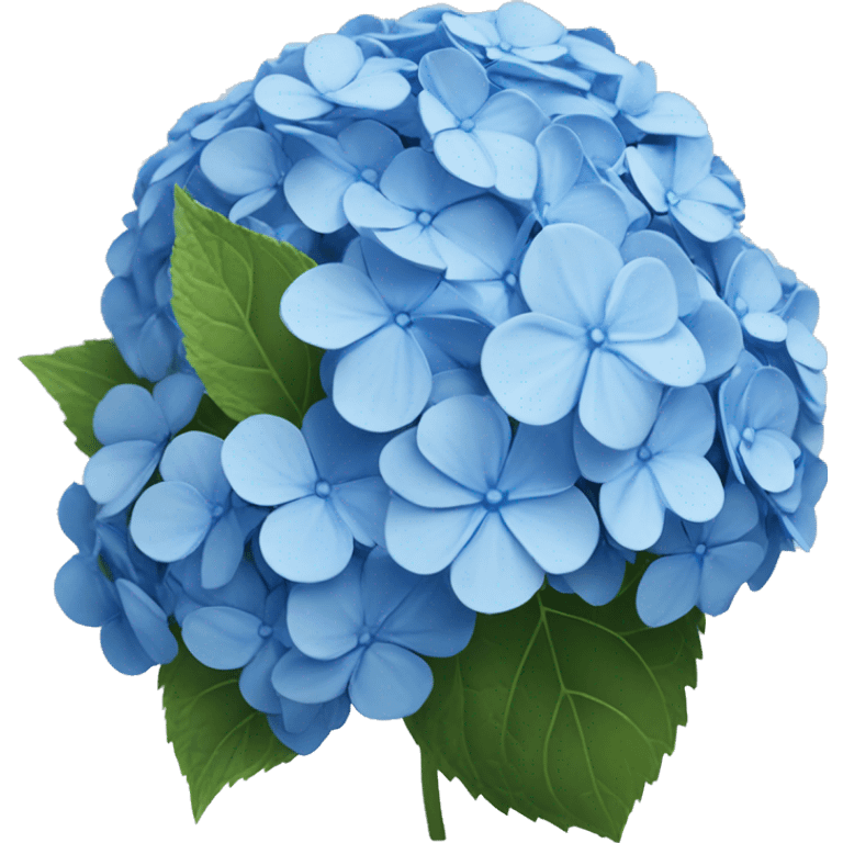 Blue hydrangea ￼ emoji