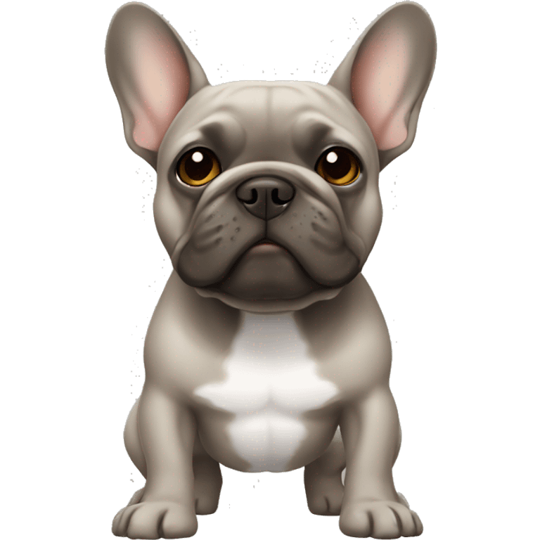 Grey French bulldog with brown tan  emoji