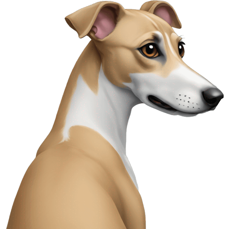 Back whippet sit emoji