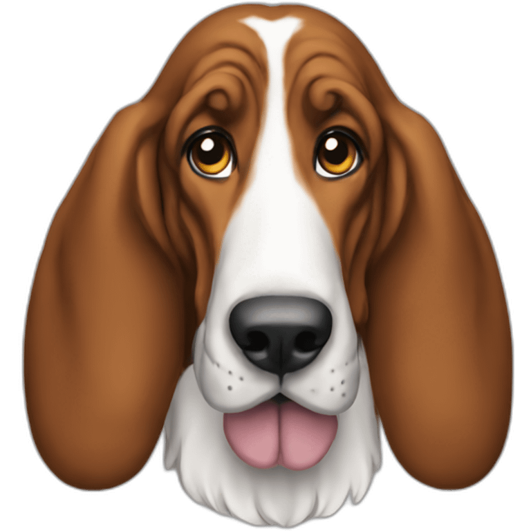 Dog-basset-hound-full-height emoji