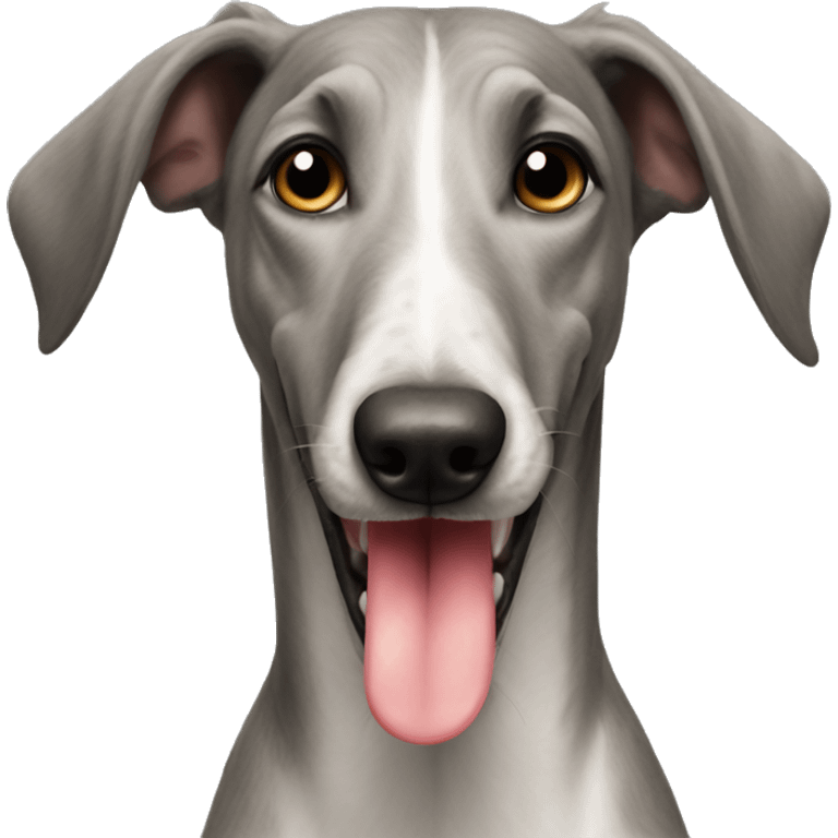 Italian grayhound with tongue out  emoji