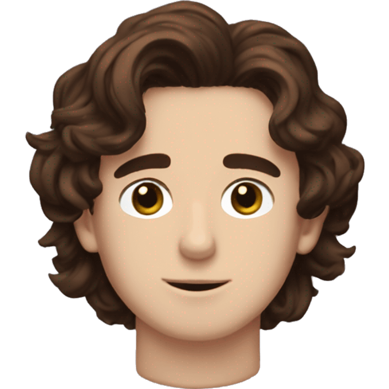 timothee chalamet with brown hair  emoji