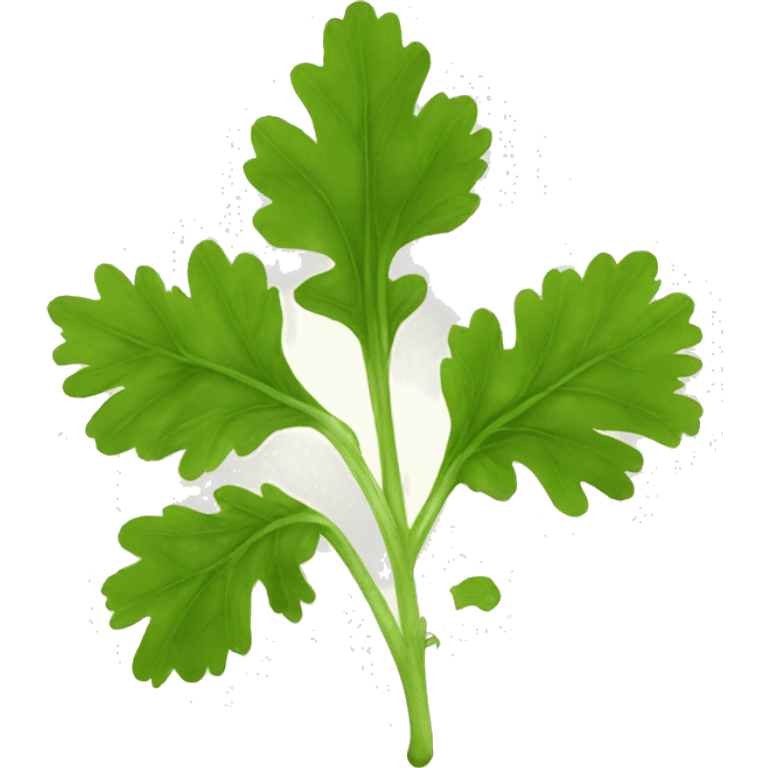 Coriander  emoji