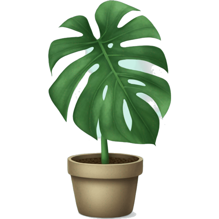 Monstera plant in pot emoji